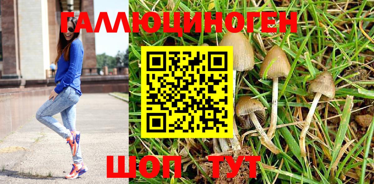 Псилоцибиновые грибы Psilocybe  Вход с VPN  Белая Калитва 